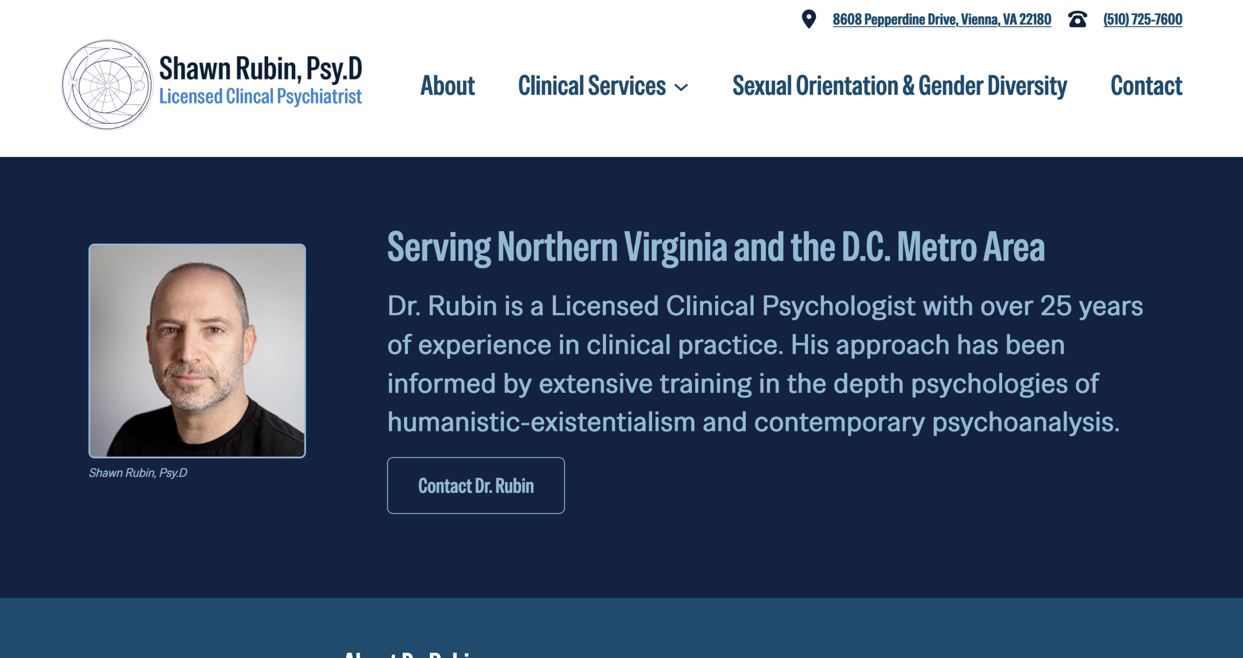 Home page for shawnrubin.com, above the fold